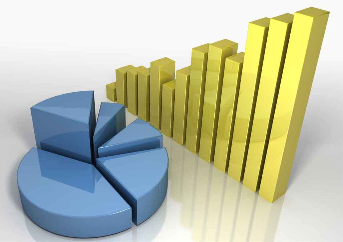 Pie chart and bar graph illustrating growth.