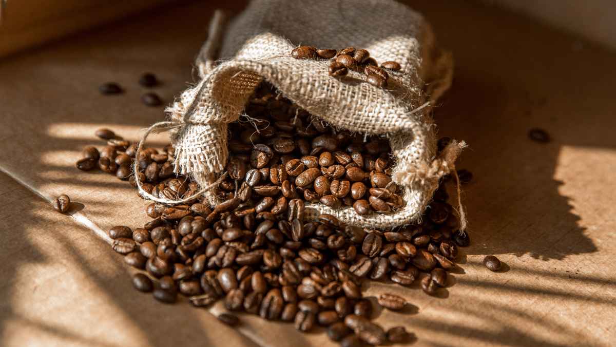 Coffee beans nestled in a basket and a wooden holder