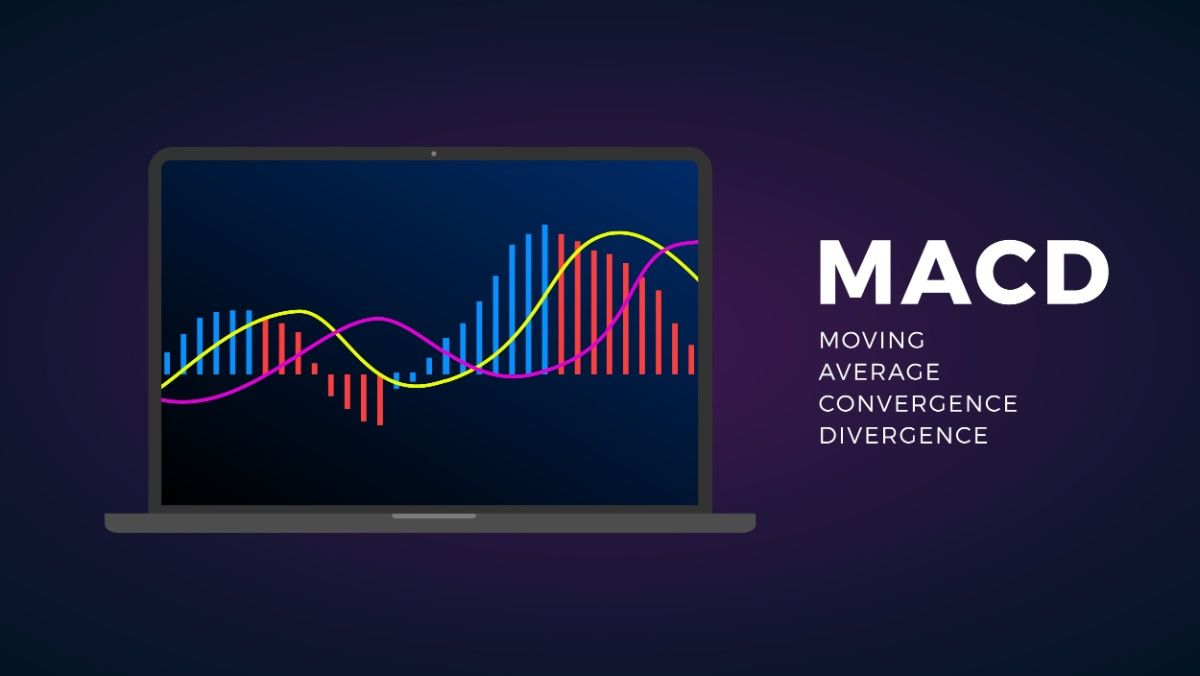 Vector stock and cryptocurrency exchange graph forex analytics and trading market chart Moving Average Convergence Divergence