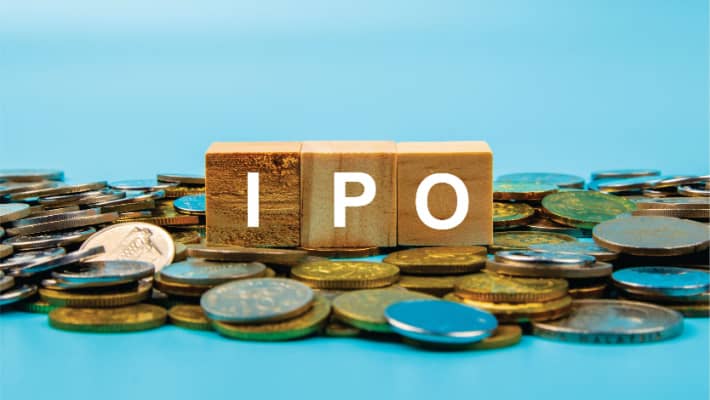 How is an initial public offering (IPO) priced?