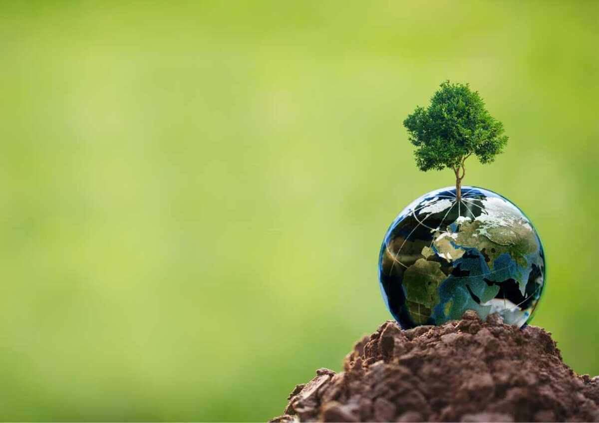  A tree growing from a globe on soil, symbolizing environmental conservation and global sustainability.