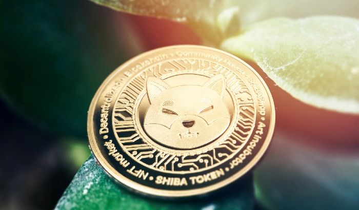 gold coin of Shiba Inu 