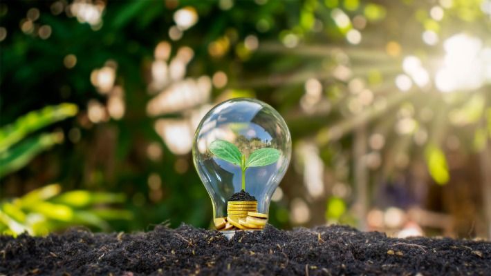 a conceptual artwork where a light bulb symbolising ideas and energy, contains an Earth globe with a plant growing inside it