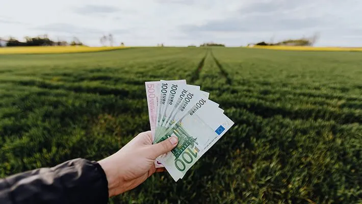 A man holding money with a grassy field background