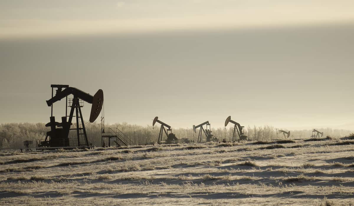 Oil pump jacks in a field, tied to the latest oil price forecast from U.S. inventory shifts.